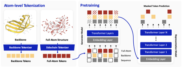 Atom-level protein representation learning framework